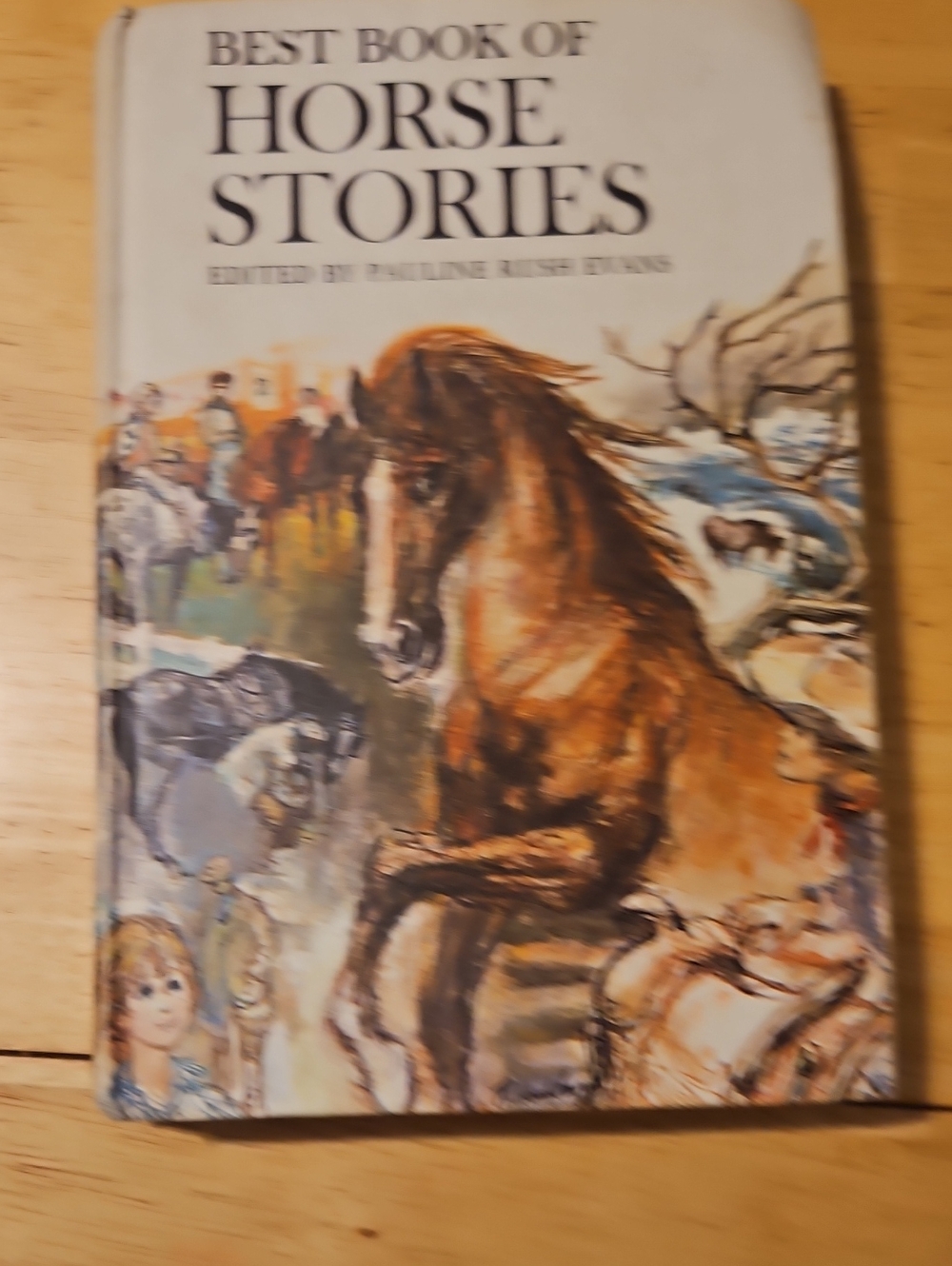 Best Book of Horse Stories Illustrated Horse Stories Book